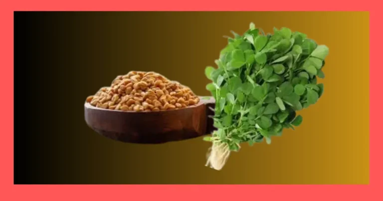 Fenugreek Benefits Why Everyone Is Talking About This Ancient Herb