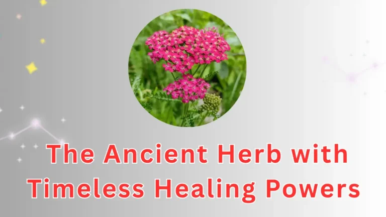 The Ancient Herb with Timeless Healing Powers