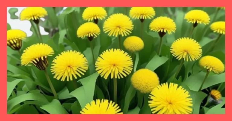 Unlock the Power of Dandelion Benefits Nature’s Hidden Detox Secret!